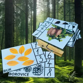 kolickovana les material priroda