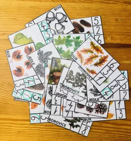 karty kolickovana misakova trida