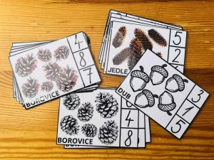 karty kolickovana misakova trida