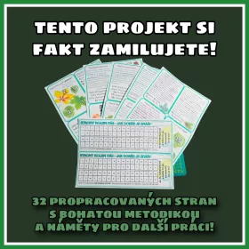 Den stromů – zábavná stezka s tajenkou, hrou, triminem a QR kódy Mišákova třída