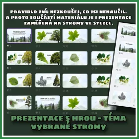 Den stromů – zábavná stezka s tajenkou, hrou, triminem a QR kódy Mišákova třída