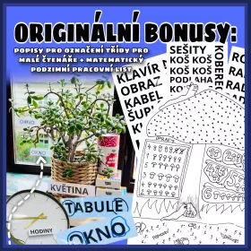 Bonusy misakova trida