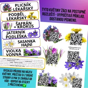 Matematické šifry s motivy květin. Mišákova třída