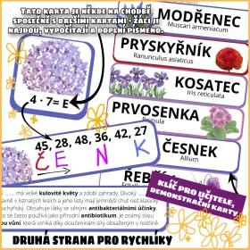 Matematické šifry s tematikou jara. Mišákova třída