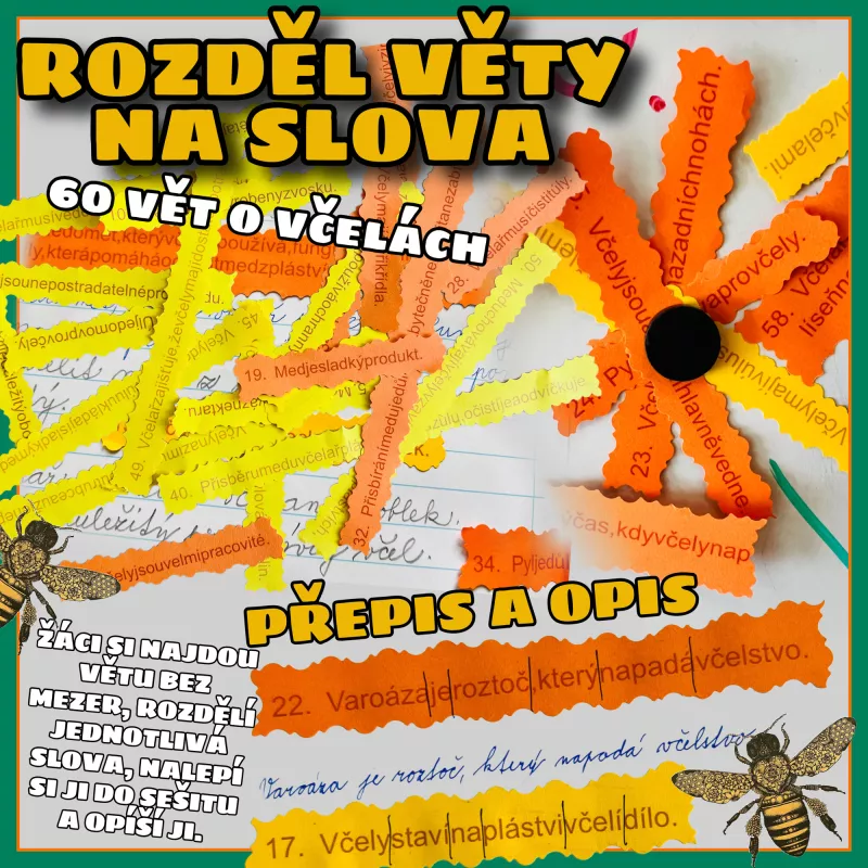 Přepište popletené věty s tematikou včel. Mišákova třída