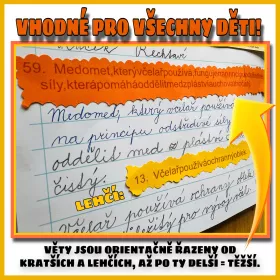 Přepište popletené věty s tematikou včel. Mišákova třída