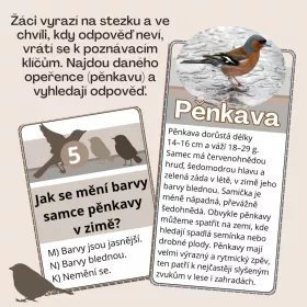 Zábavný projekt, který pomůže žákům rozpoznat ptactvo. Mišákova třída