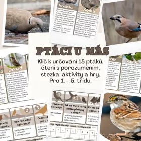 Zábavný projekt, který pomůže žákům rozpoznat ptactvo.