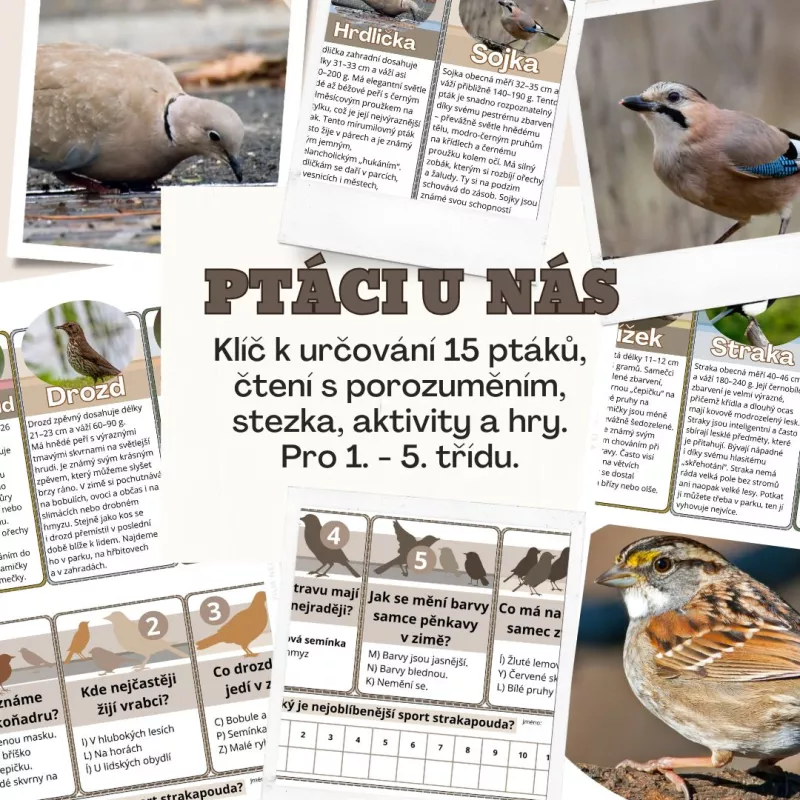 Zábavný projekt, který pomůže žákům rozpoznat ptactvo. Mišákova třída