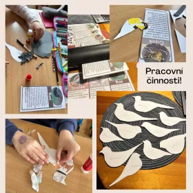 Zábavný projekt, který pomůže žákům rozpoznat ptactvo. Mišákova třída