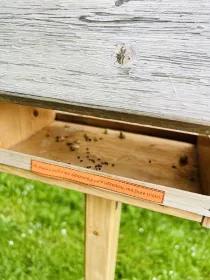 Třeba i na krmítku. :-)