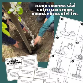 Sázení stromů - projekt, čtení, práce s textem